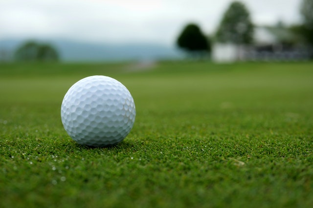 Feature Of Everyday Objects  - golf ball