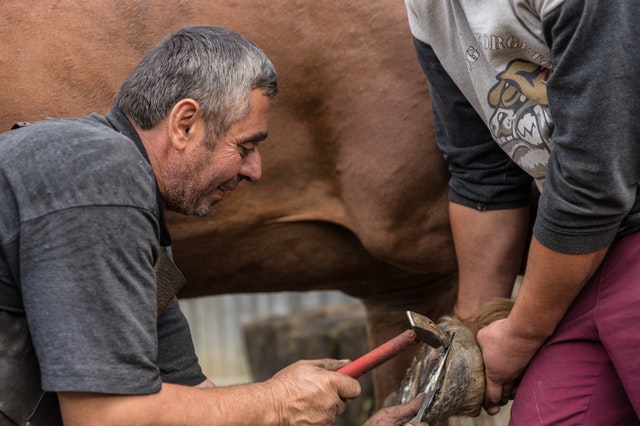 benefits of horse shoe ring